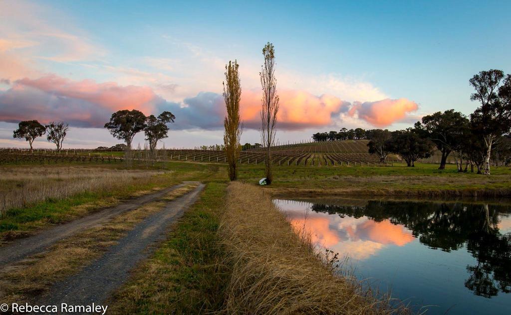 Mayfield Vineyard Orange Exterior foto